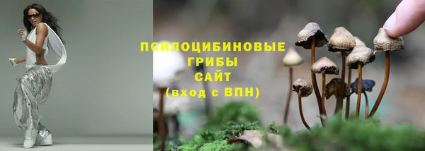 не бодяженный Бородино